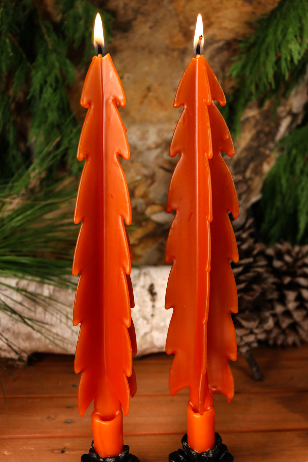 Orange Tree Beeswax Candles