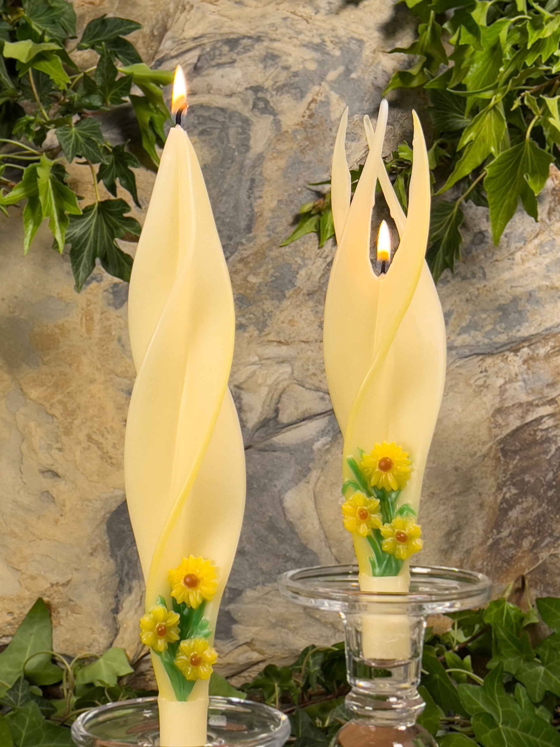 Daisies on Ivory with Yellow Edge Silhouette Beeswax Candles