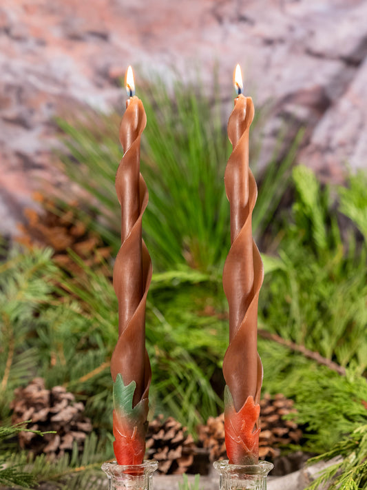 Brown Oak Double Spiral Beeswax Candles